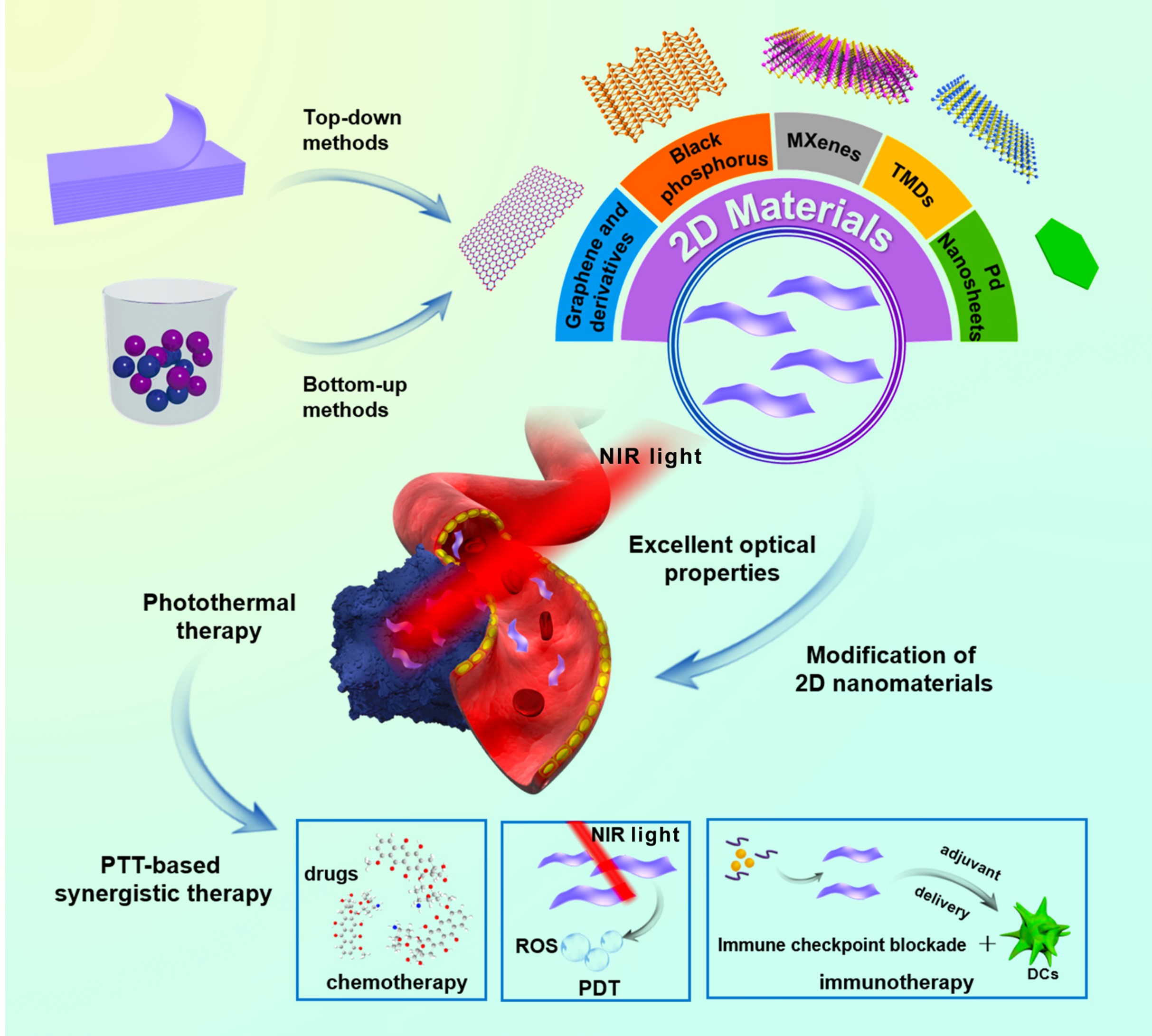 Twodimensional nanomaterials for photothermal therapy reported by Prof
